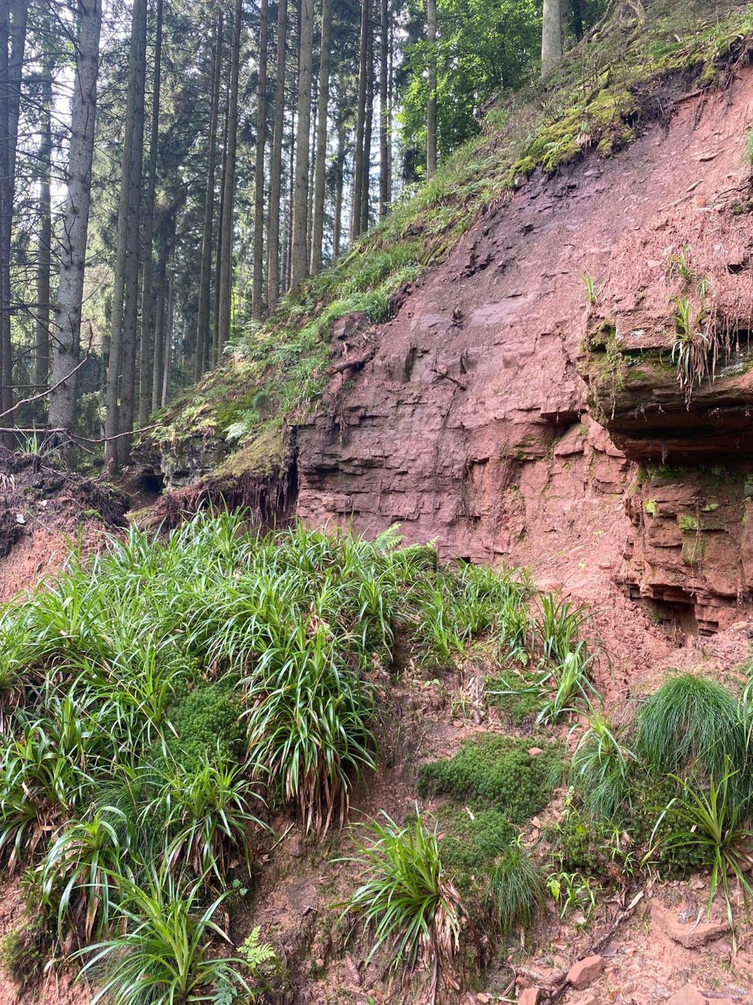 Ferienhaus Vulkaneifel Abtei Himmerod Grosslittgen Bagian luar foto