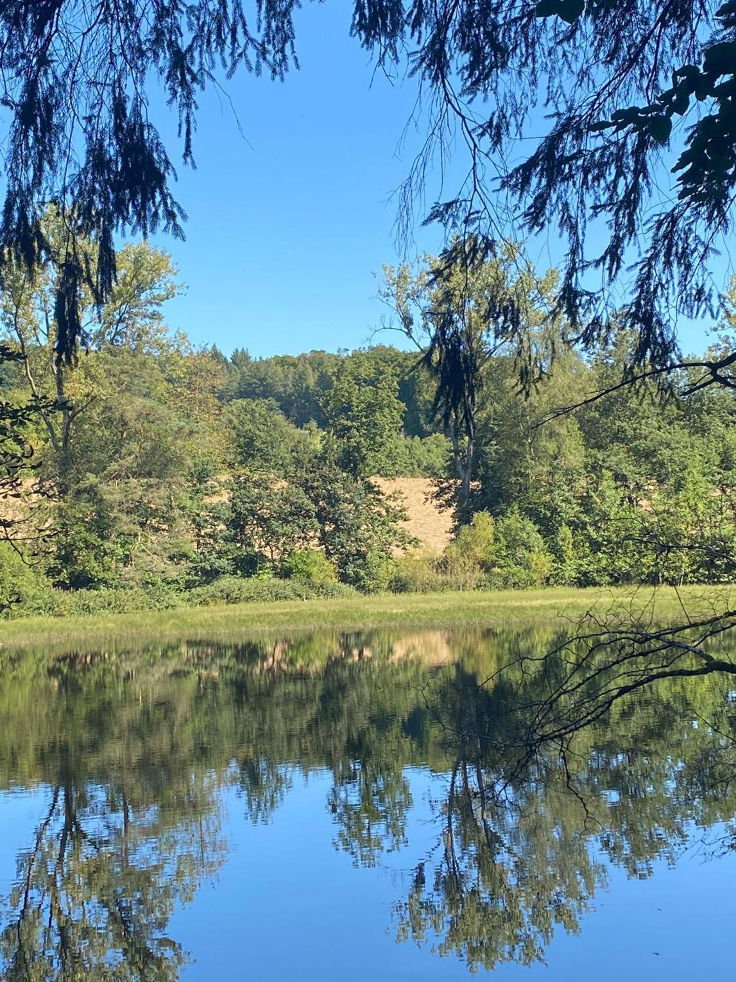 Ferienhaus Vulkaneifel Abtei Himmerod Grosslittgen Bagian luar foto