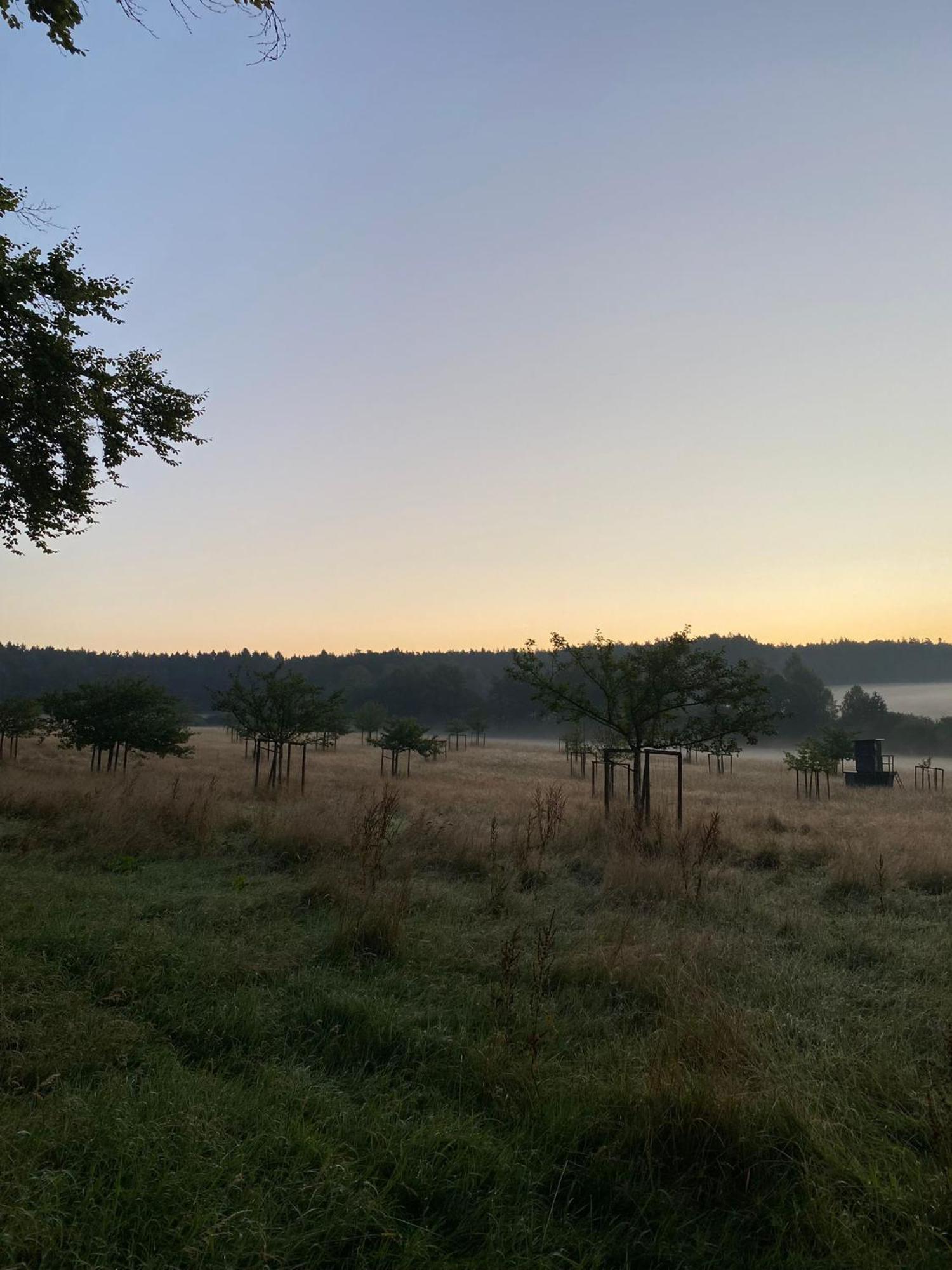 Ferienhaus Vulkaneifel Abtei Himmerod Grosslittgen Bagian luar foto