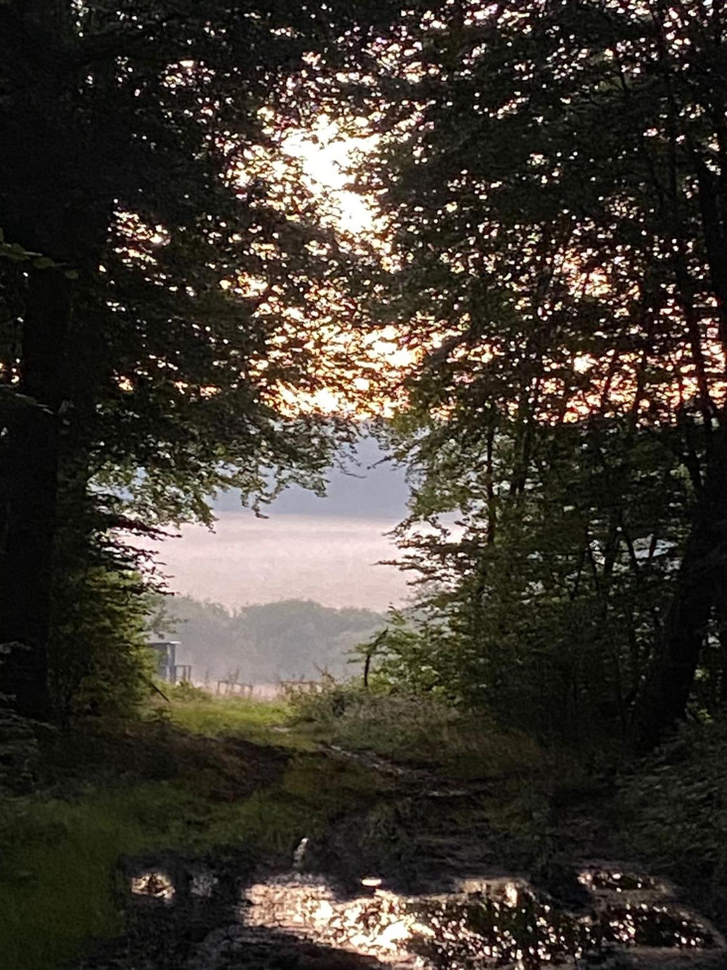 Ferienhaus Vulkaneifel Abtei Himmerod Grosslittgen Bagian luar foto