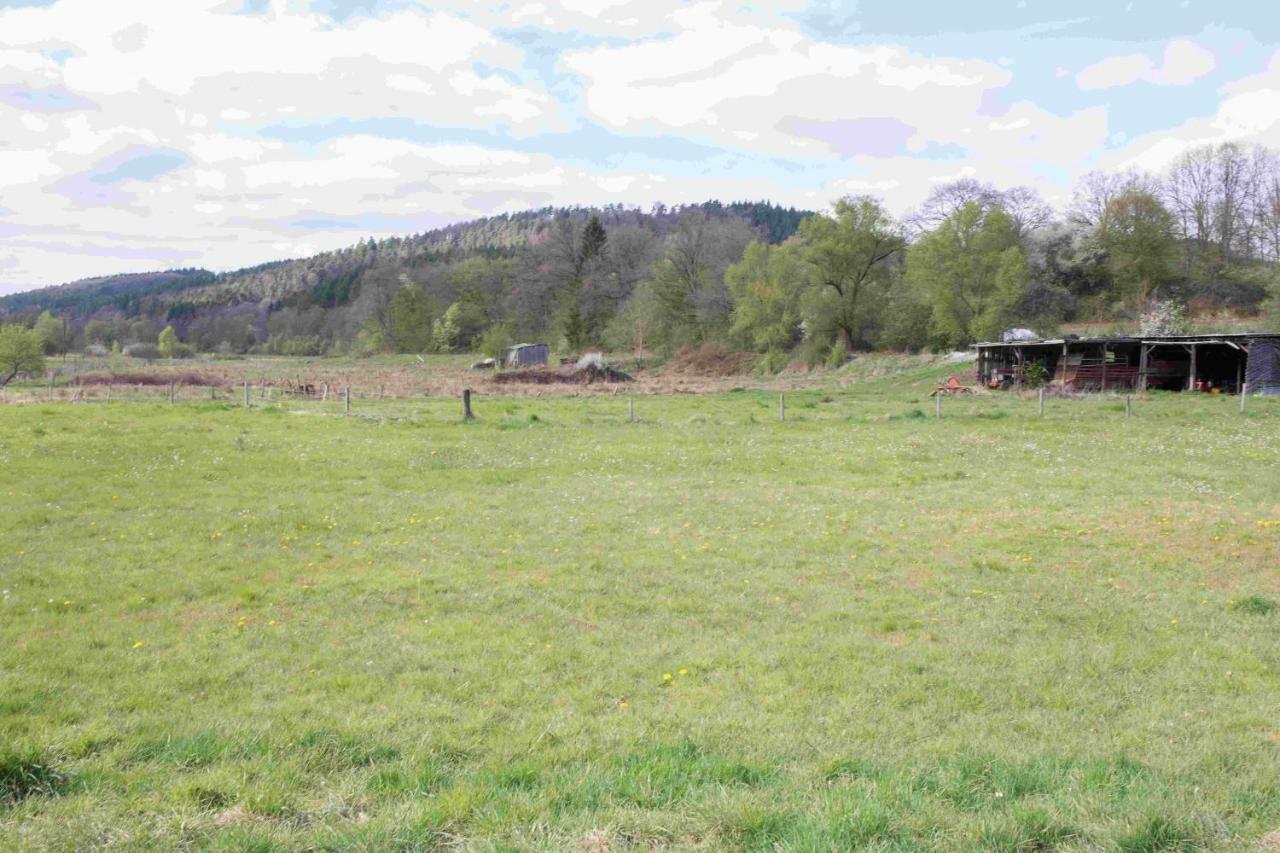 Ferienhaus Vulkaneifel Abtei Himmerod Grosslittgen Bagian luar foto