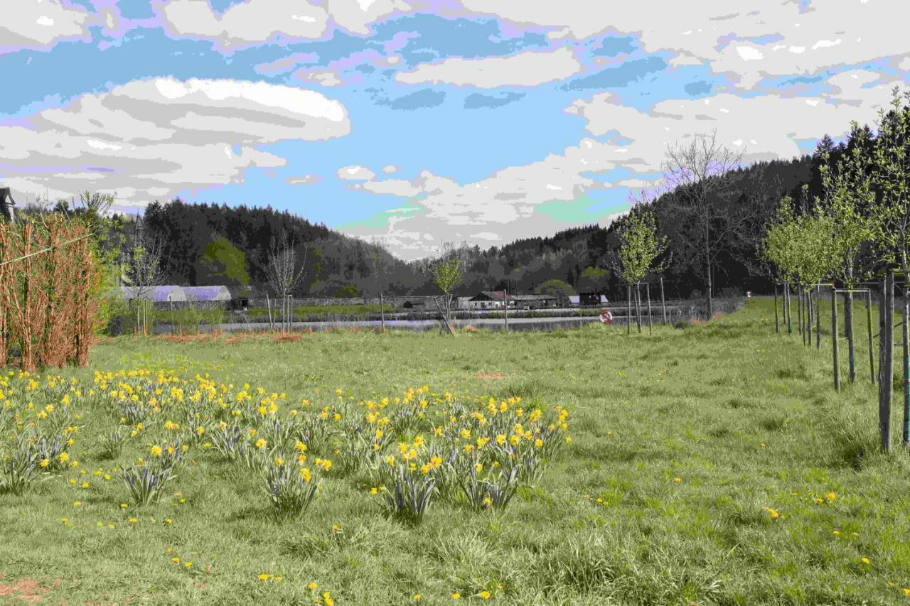Ferienhaus Vulkaneifel Abtei Himmerod Grosslittgen Bagian luar foto