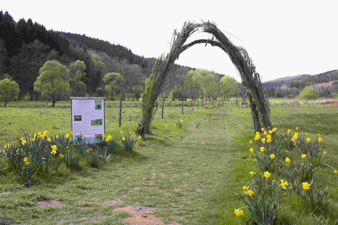 Ferienhaus Vulkaneifel Abtei Himmerod Grosslittgen Bagian luar foto